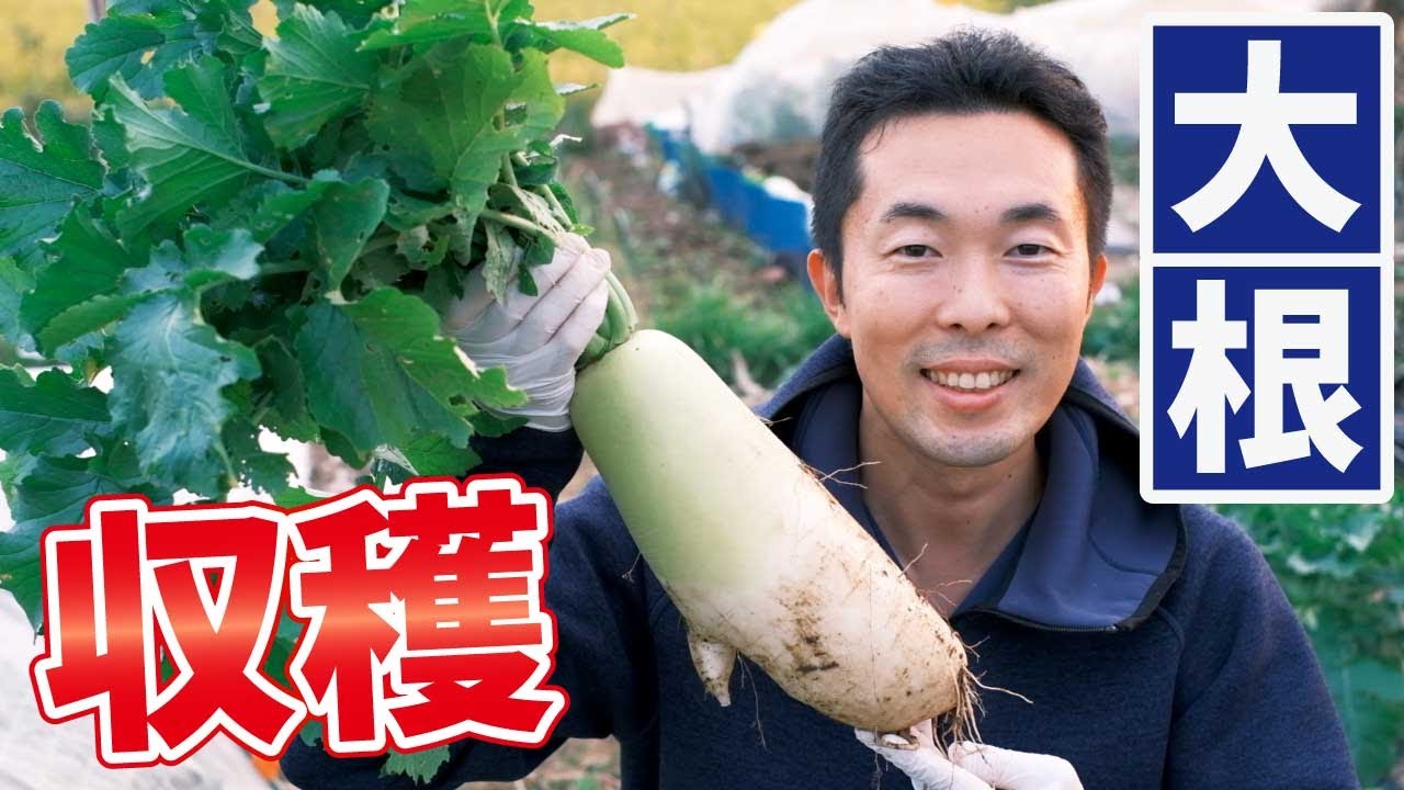 ブック、ポートフォリオ