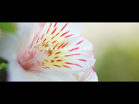 SHOWREEL 2022