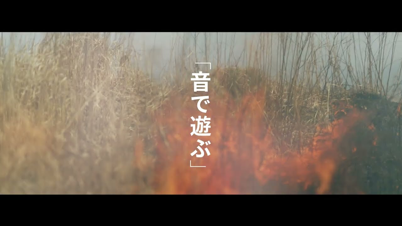 動物、サウンド
