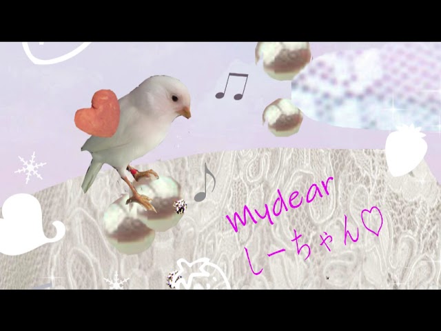女の子、dtm
