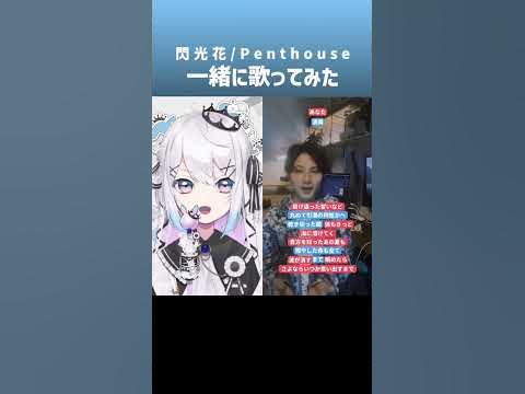【#個人vtuber 】閃光花 / Penthouse 一緒に歌ってみた #shorts
