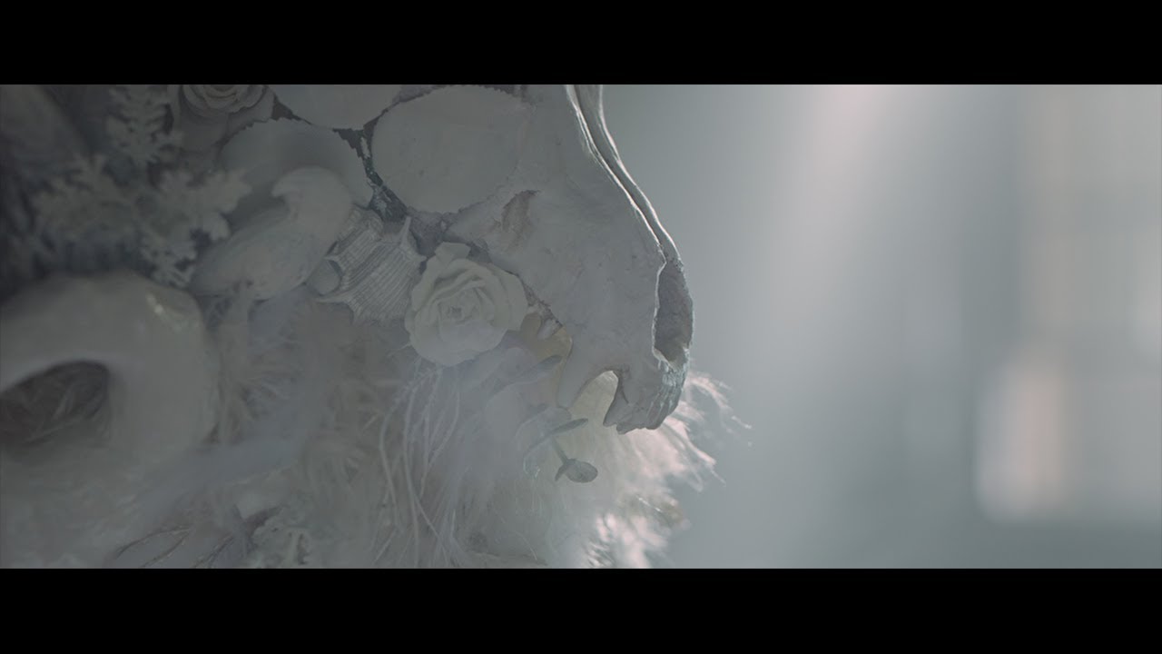 配信画面、after effects