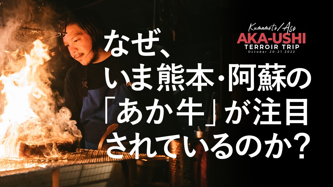 director、クレジットカード