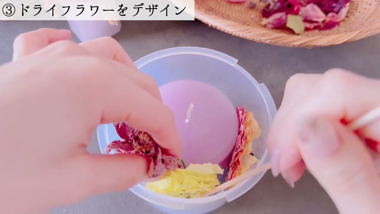 教材系動画