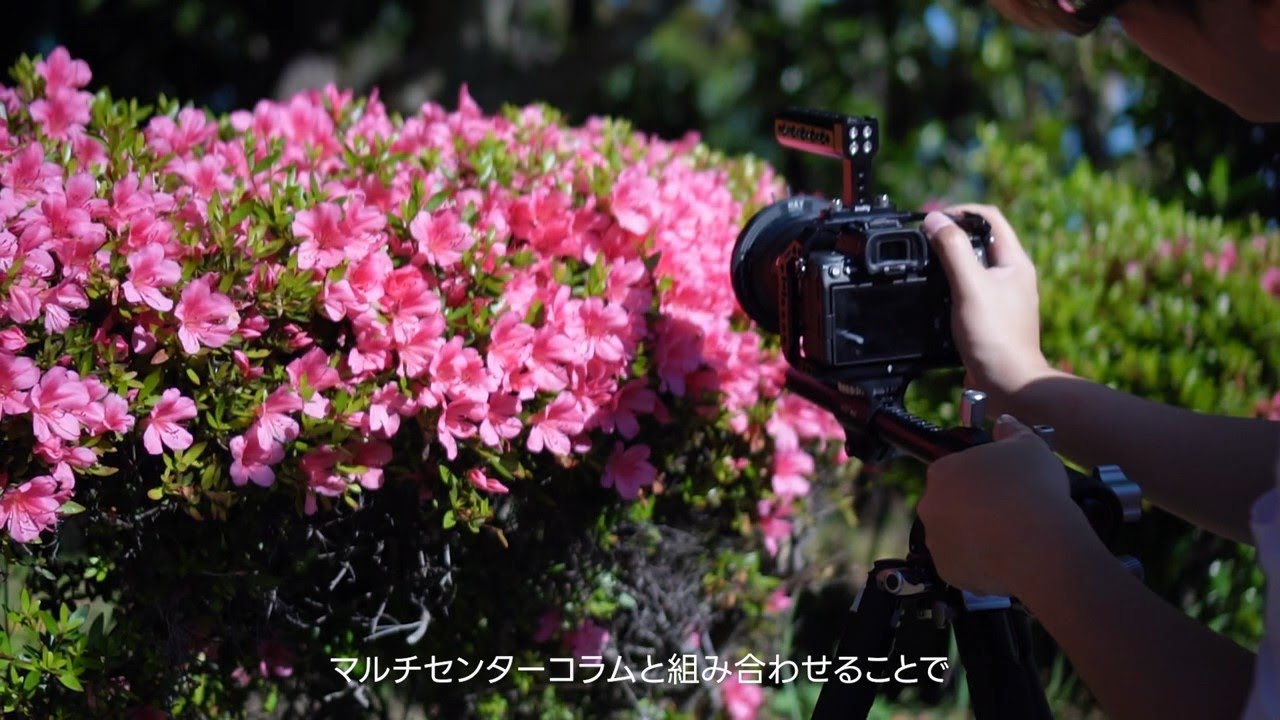 創作、マーケター