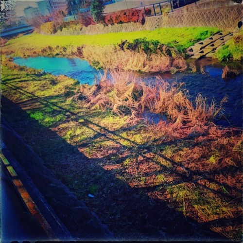 Rural landscape -田園風景-