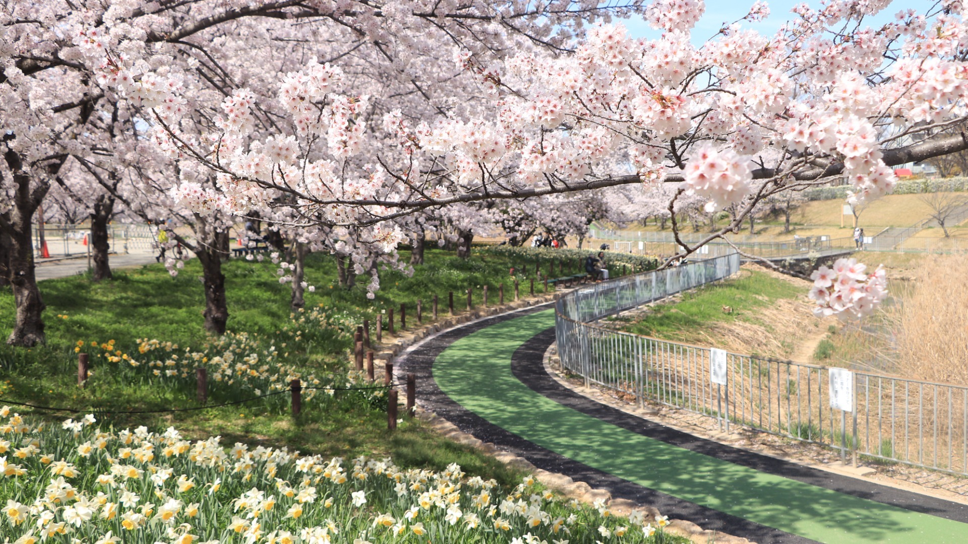 【名古屋市天白区】天白区民憩いの「細口池公園」10枚の写真でその美しい風景をご紹介！ - 土庄雄平 | Yahoo! JAPAN クリエイターズプログラム