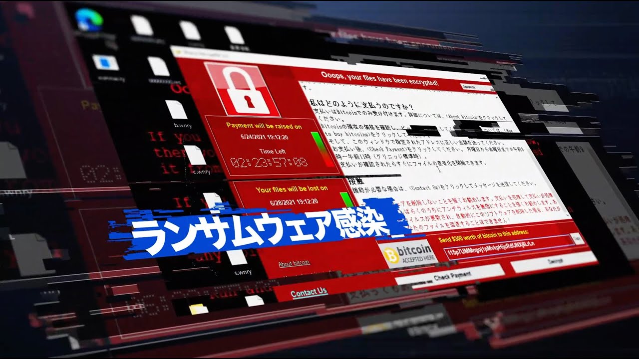 ピーターパン、japan