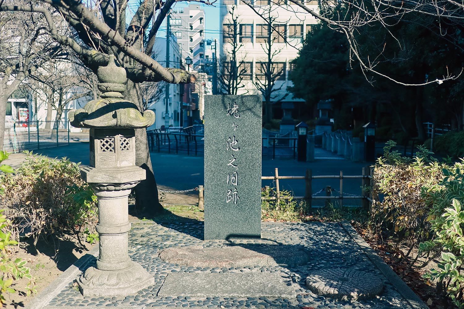 エリ、連載