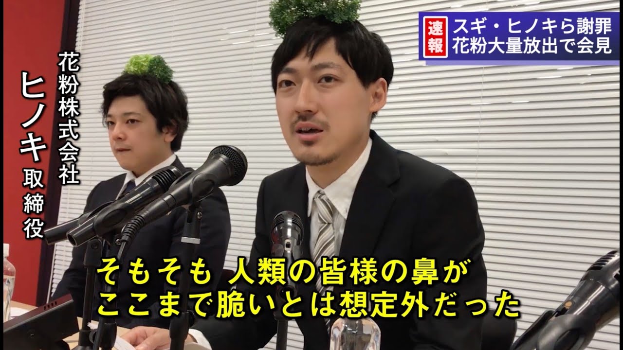 【記者会見】もし花粉が謝罪会見をしたら、こうなる。