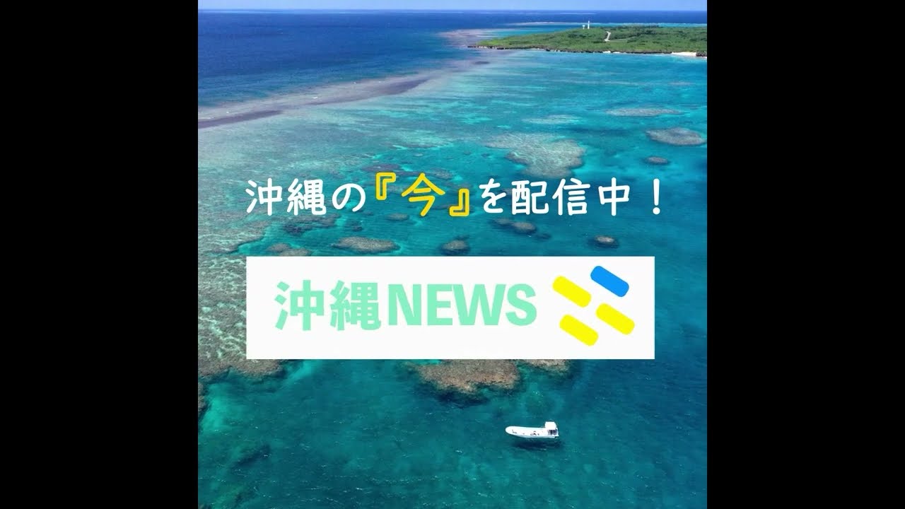 【サービス紹介動画】電子新聞