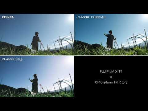 動画撮影、映像クリエイター