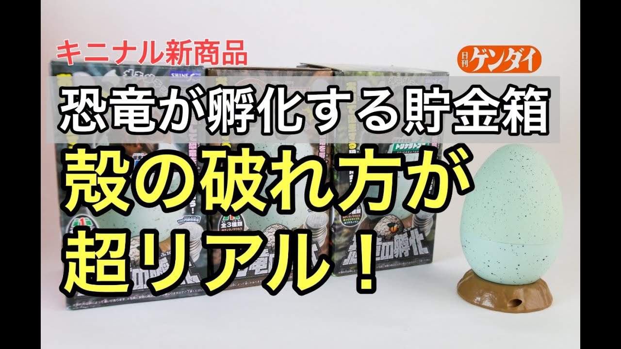 【キニナル新商品】殻の破れ方が超リアル！話題の恐竜貯金箱トリケラトプスを孵化させてみた！