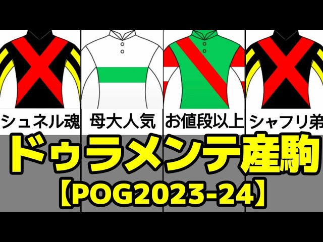 youtuber、カード