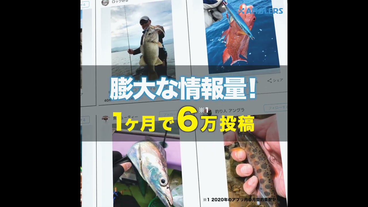 tiktok、サービス紹介