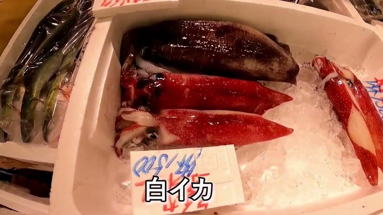 ポートフォリオ2mp4