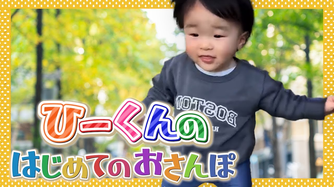 サンプル、教育