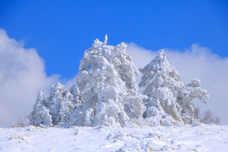 アイテム、雪山登山