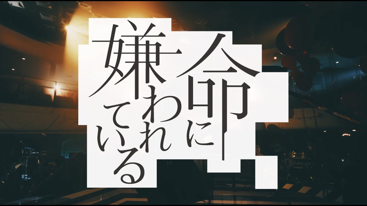 プロデューサー、writing