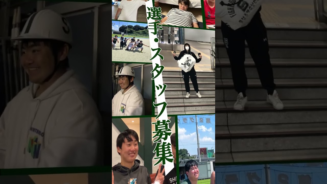 大学、pv