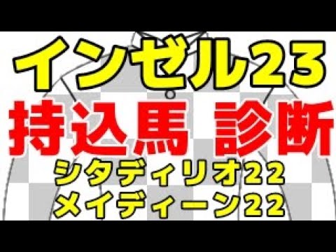 【インゼル23】持込馬2頭は期待できる!?【シタディリオの2022/メイディーンの2022】