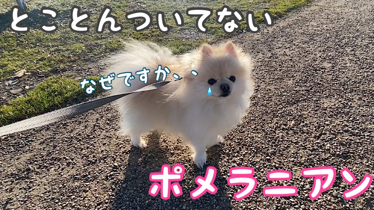 かわいい、2018年