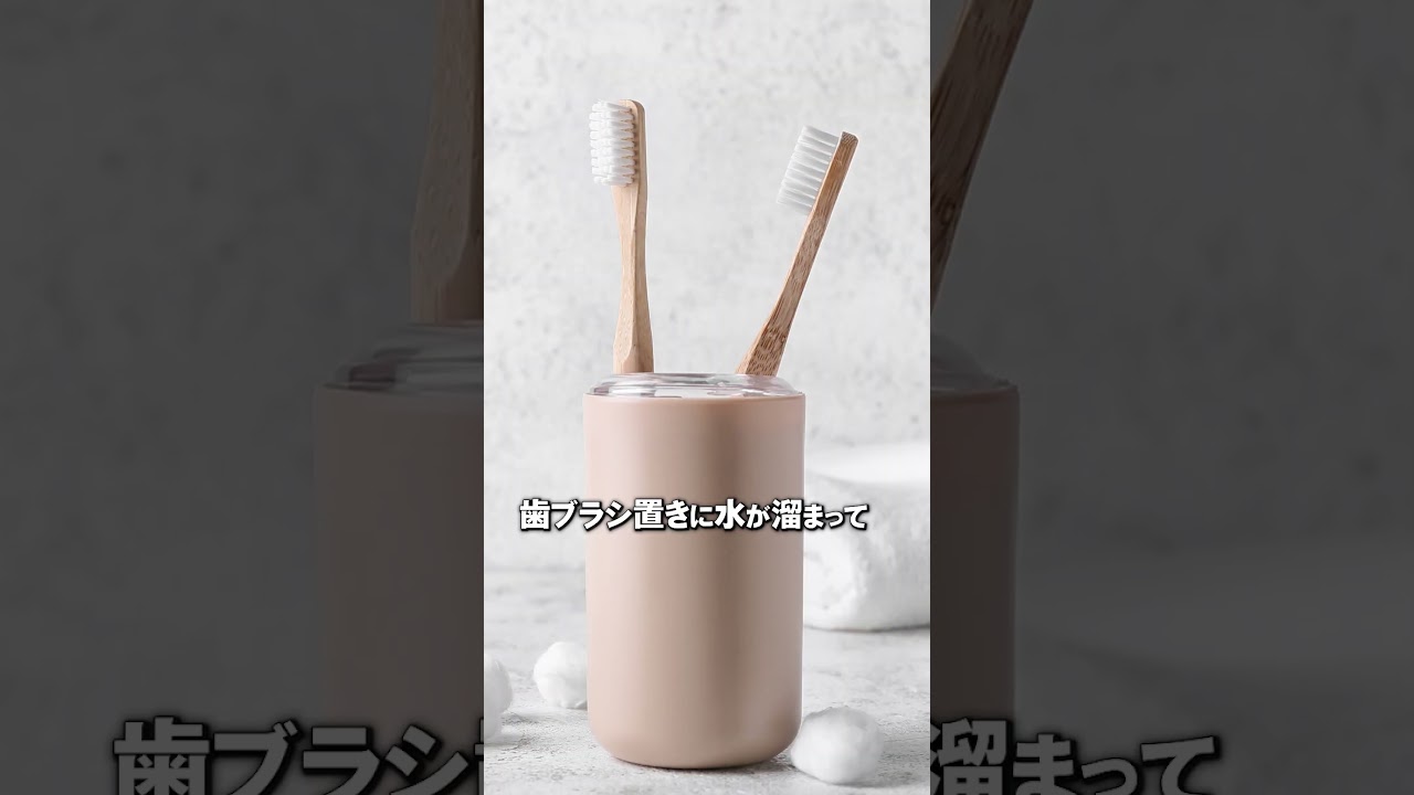 編集、暮らし