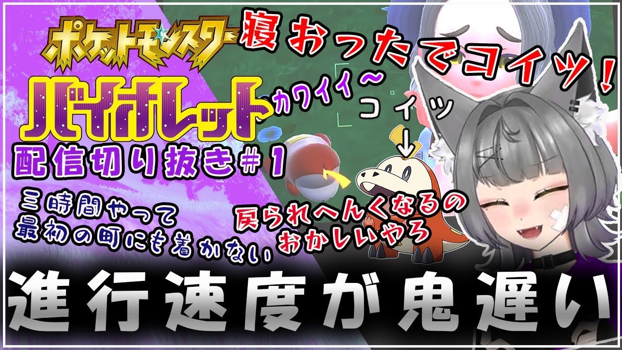 写真、ポケモン