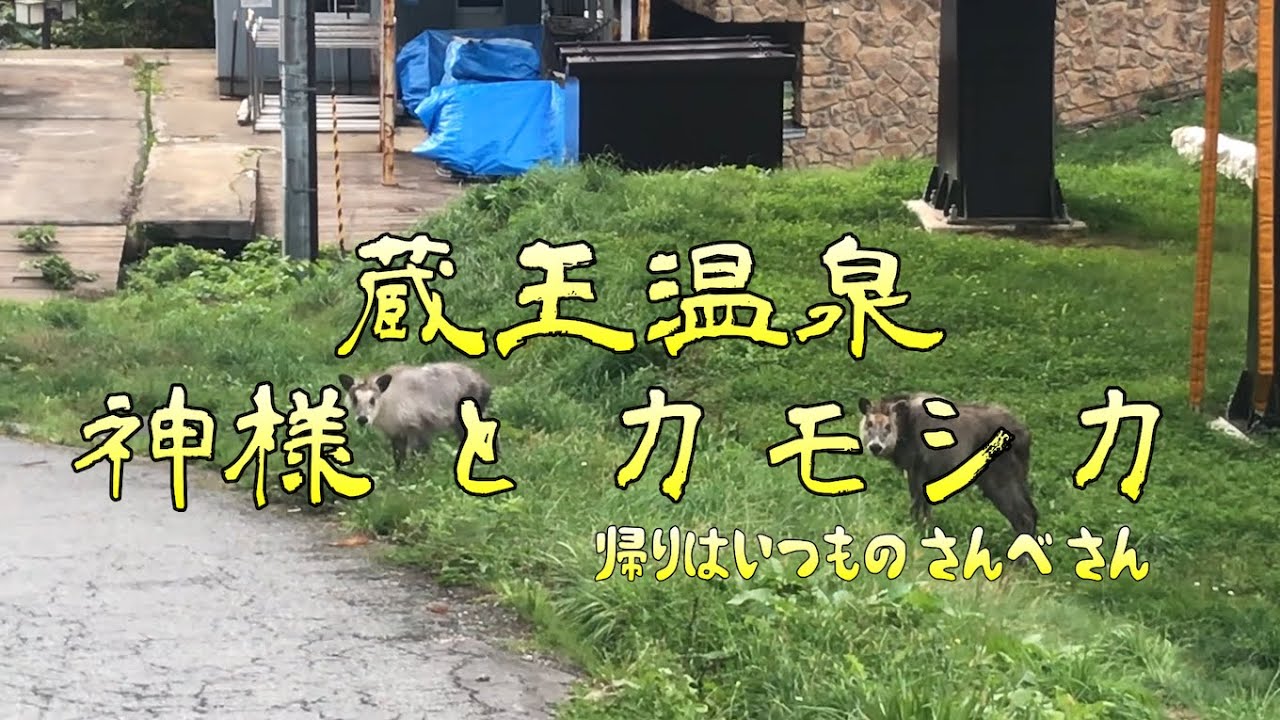 蔵王温泉 神様とカモシカ（ポートフォリオ用に作成した動画）