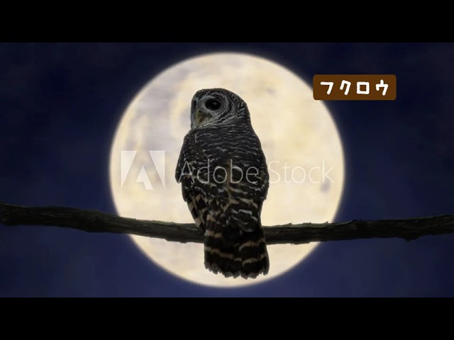 広告動画、2023年