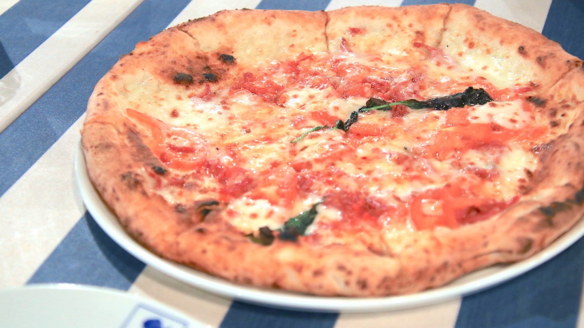 【名古屋市中村区】JRゲートタワー「ピッツェリア マルデナポリ 名古屋」世界大会優勝のピザをいただく - 土庄雄平 | Yahoo! JAPAN クリエイターズプログラム