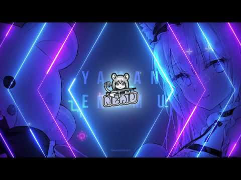 エンジニア、映像制作