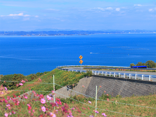 ラベル、風景