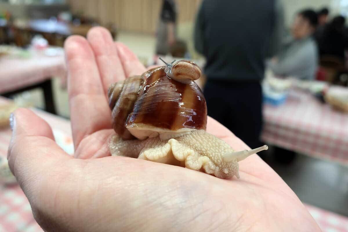 マイナビニュース│“美食の天国”三重の魅力を徹底解剖