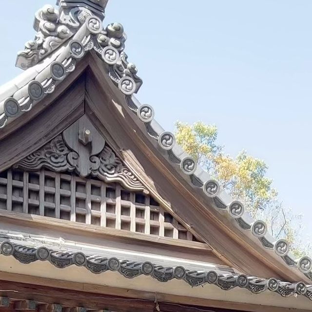 チラシ、pr動画