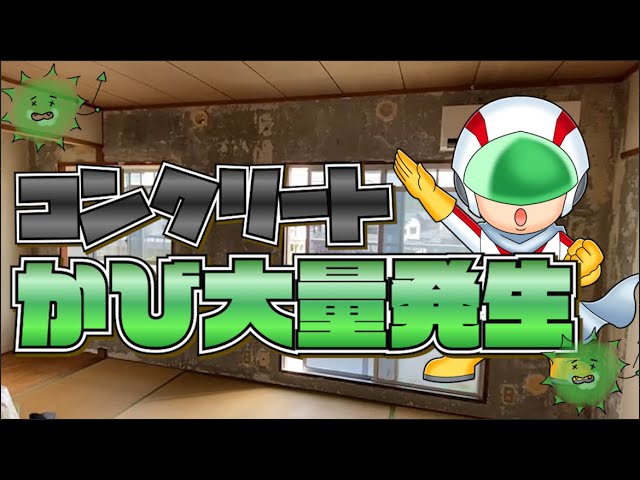 【危険】コンクリートにカビ大量発生！！？？