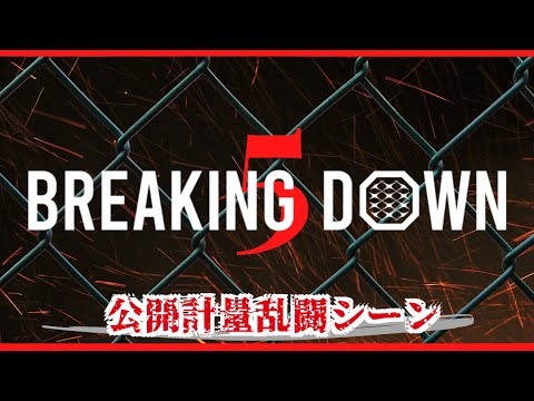 BreakingDown5切り抜き   1080