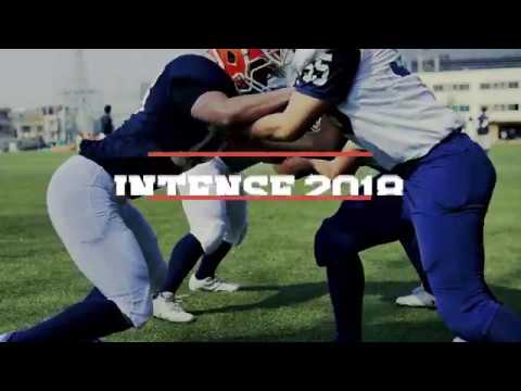 映像クリエイター、学習