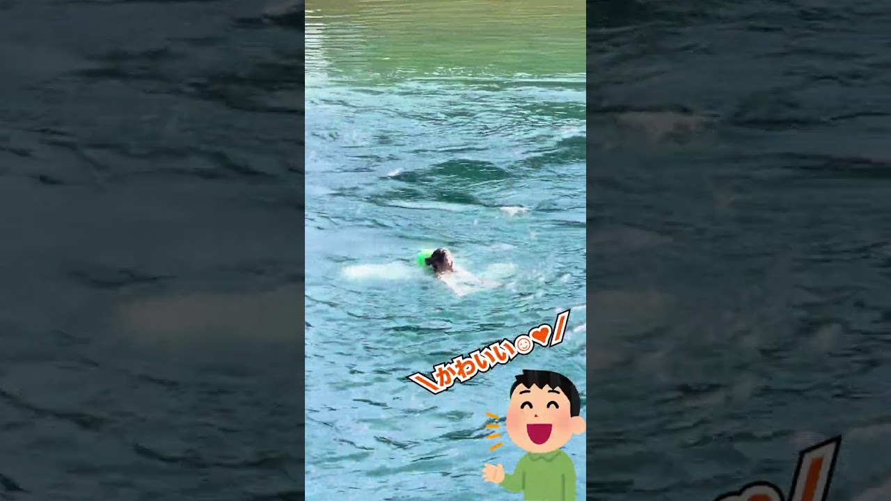 綺麗なスイスの川ではしゃいでいる彼女が可愛すぎた！