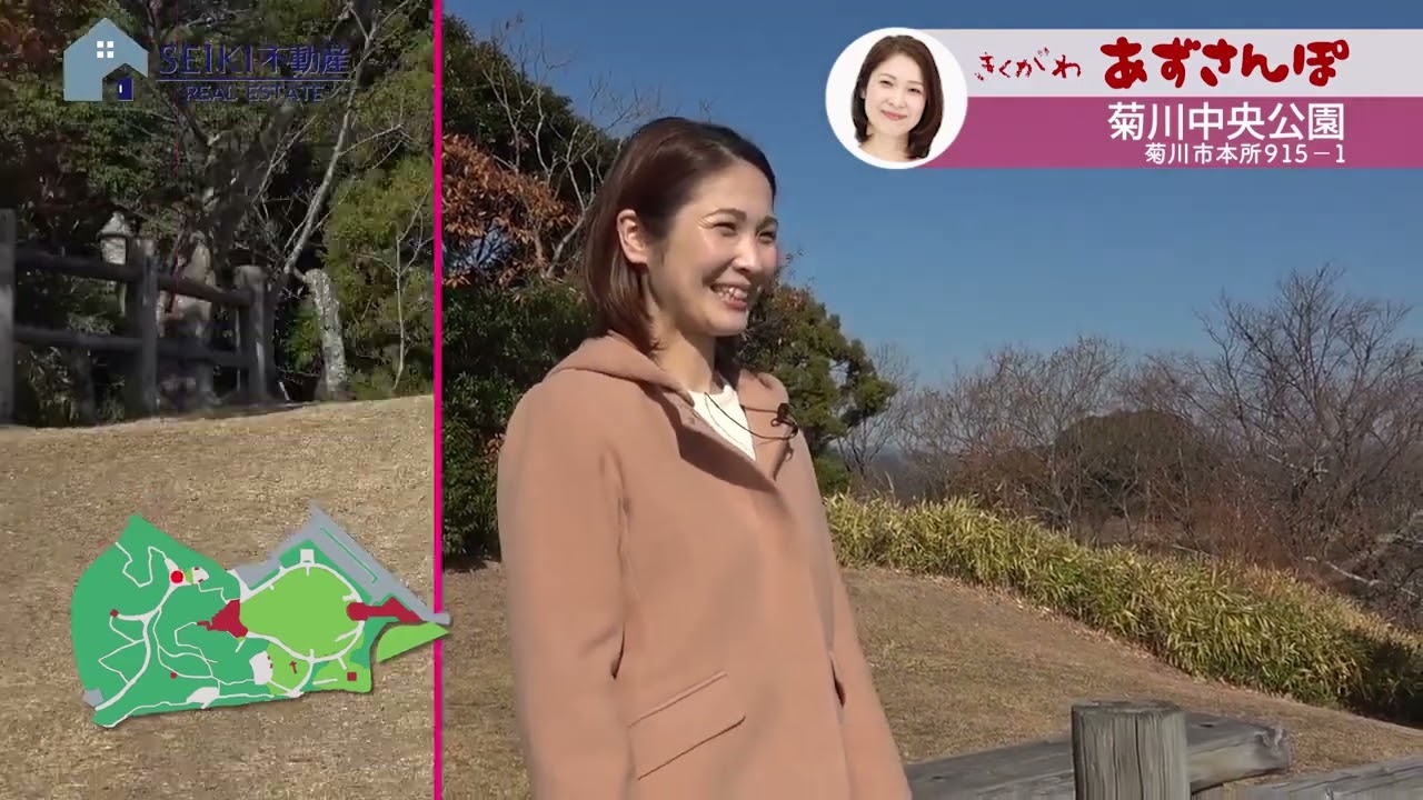 gif動画、映像作品