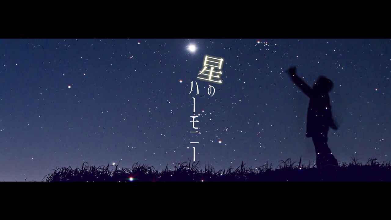 動画、2019
