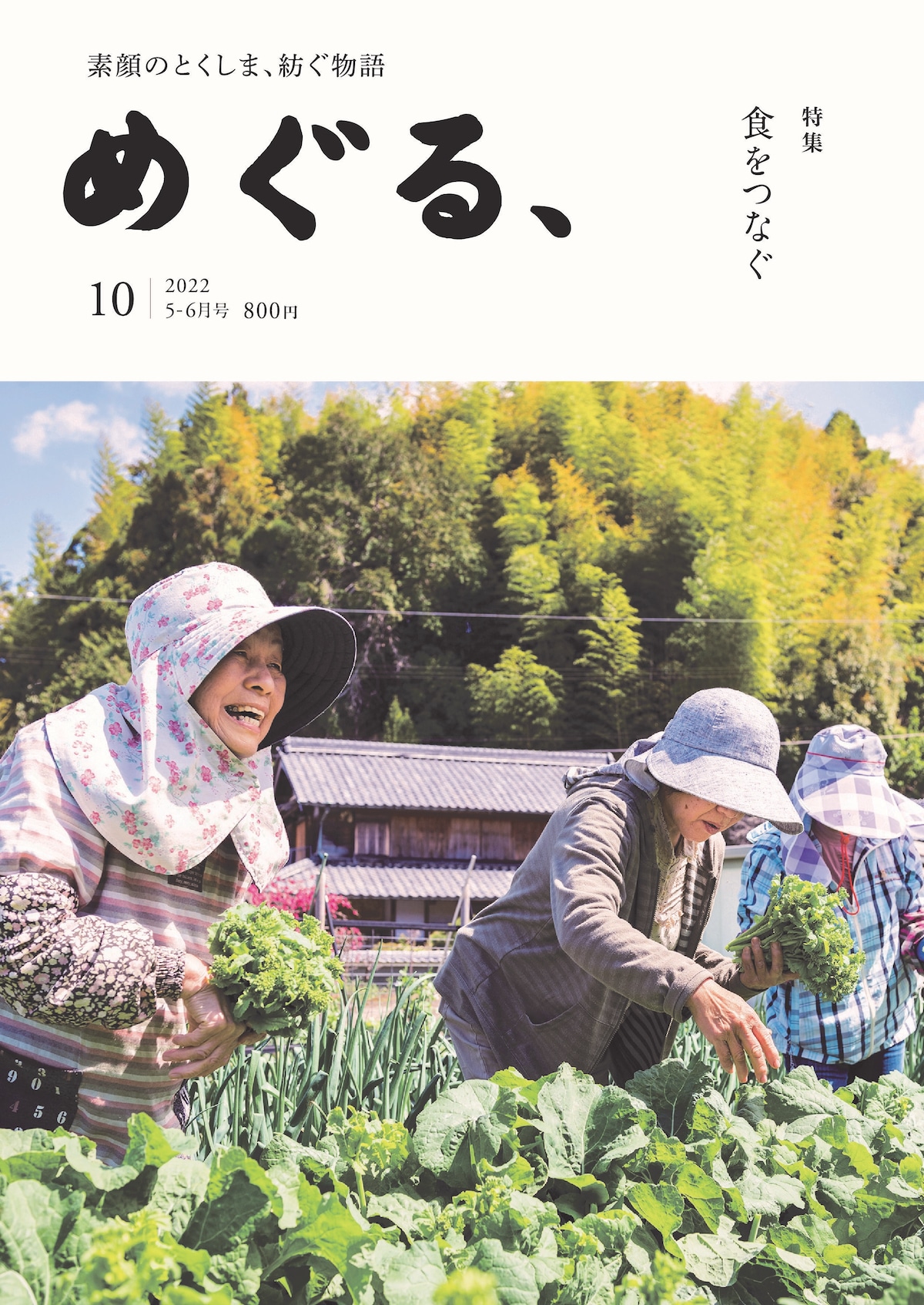 ぬいぐるみ、市場調査