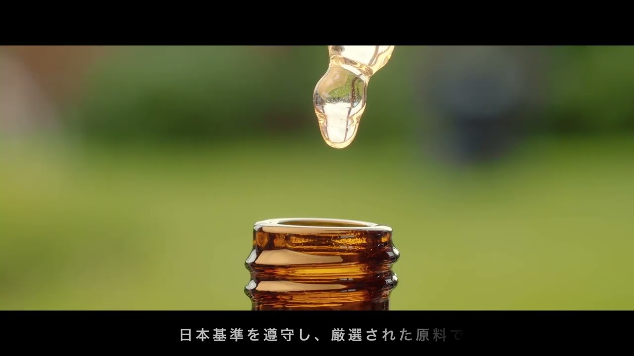 企業実績、pv