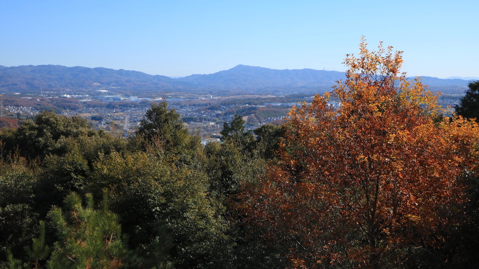【名古屋市】意外にも自然の宝庫!? 名古屋が誇る「登山&ハイキングスポット」4選（土庄雄平） - エキスパート - Yahoo!ニュース