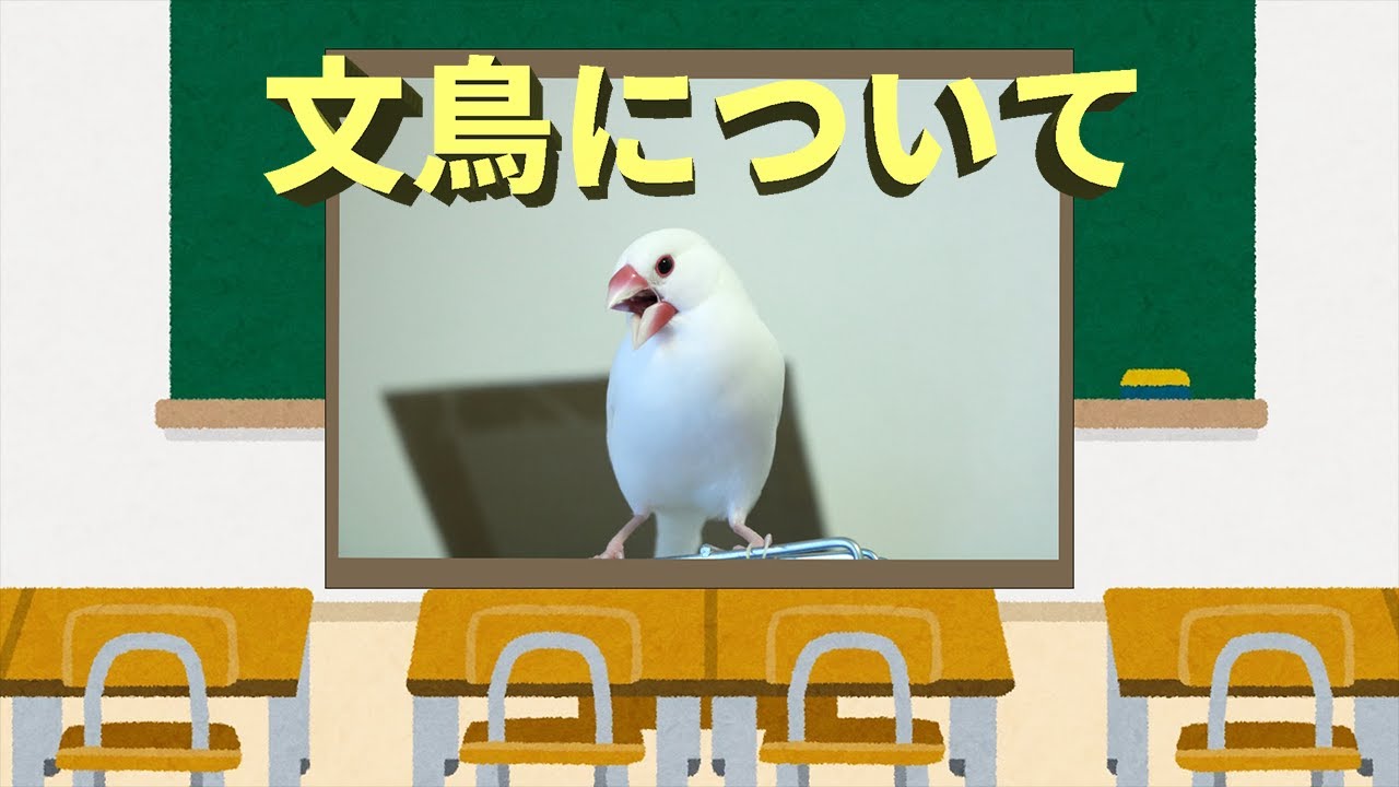 自己紹介動画、キャッチコピー