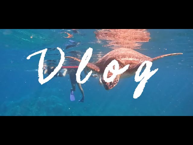 Vlog風ポートフォリオ