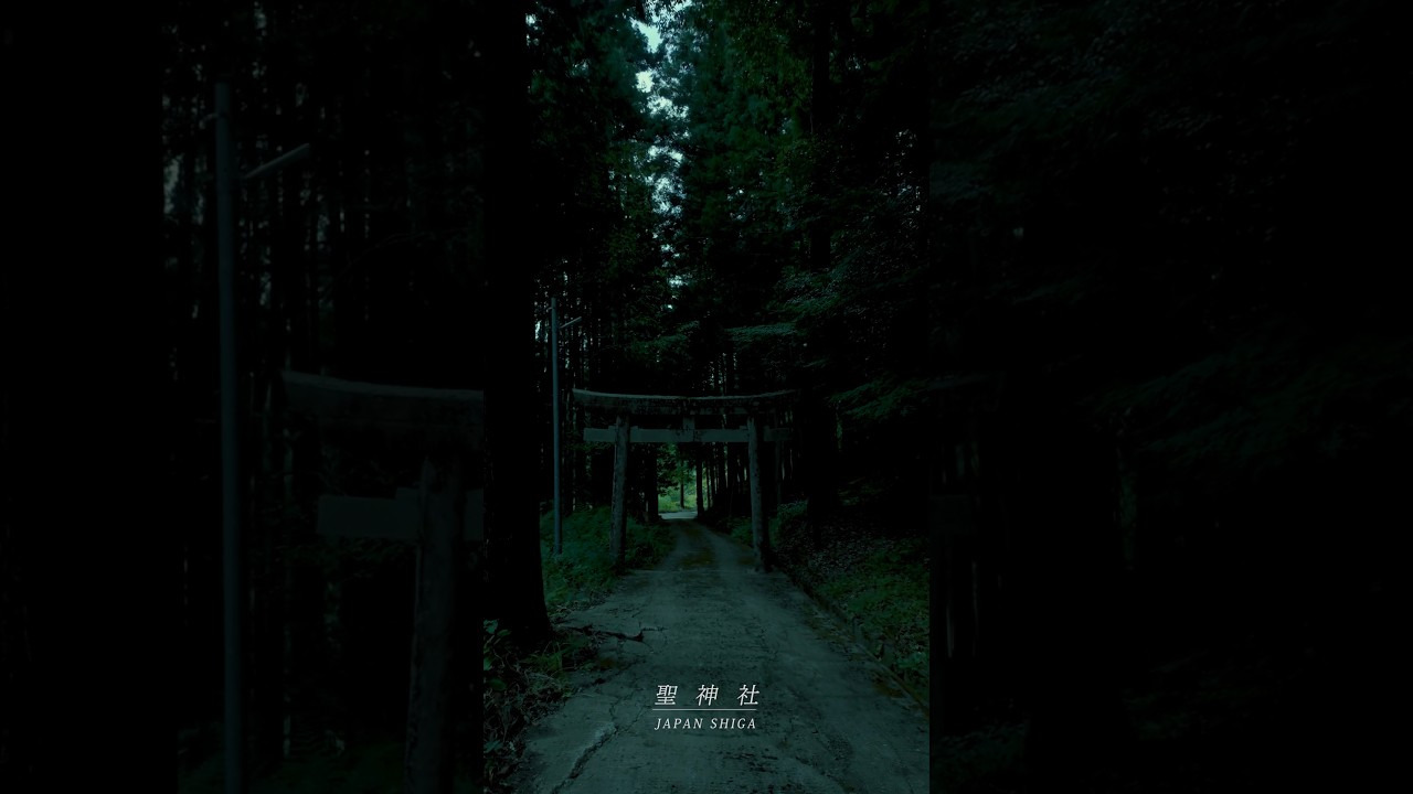 【滋賀県の原風景】多賀町の隠れた神様⛩️聖神社」で授かる無病息災のご利益
#short #聖神社 #寺社仏閣 #旅行 #日本の風景 #癒し #絶景スポット