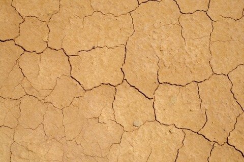 乾燥肌は思い込み？正しい見分け方と効果的な対処法を解説！ : Health & Beautyの主通路