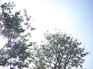 Wedding Party Report　～Apr.2019 前編～　