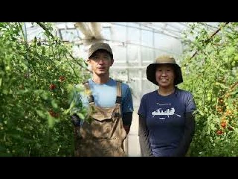 トマト農家さん　PR動画